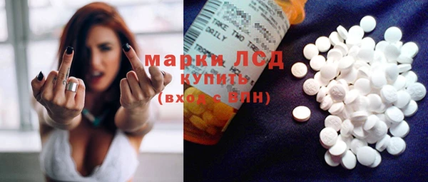 стафф Вязьма