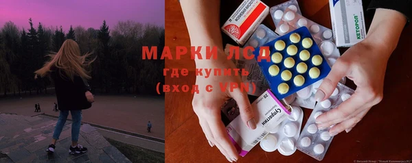 стафф Вязьма