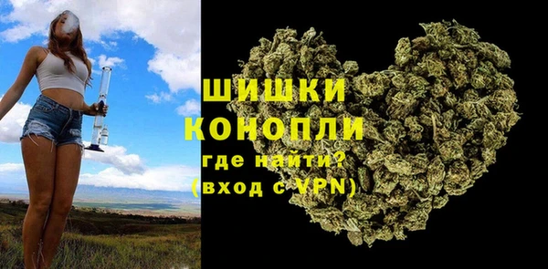 СК Волоколамск