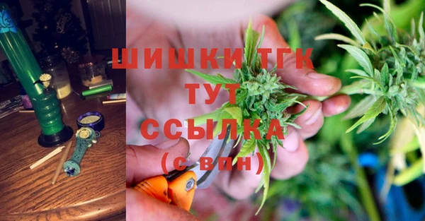 СК Волоколамск