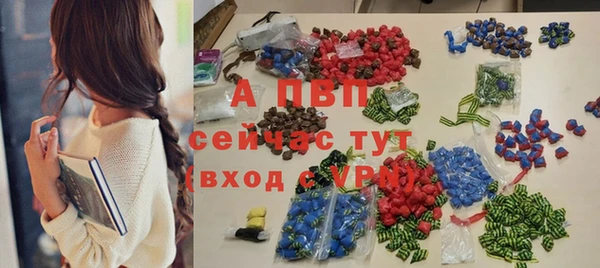 СК Волоколамск