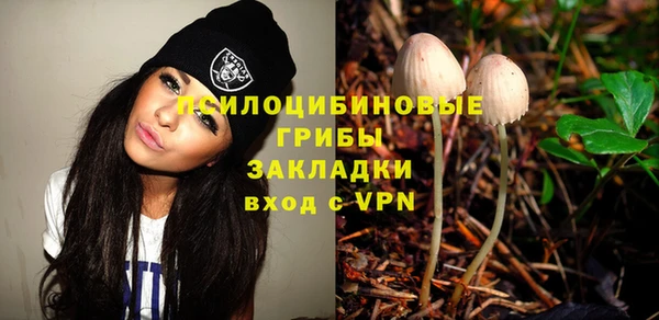 СК Волоколамск