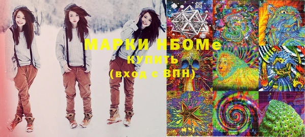 стафф Вязьма